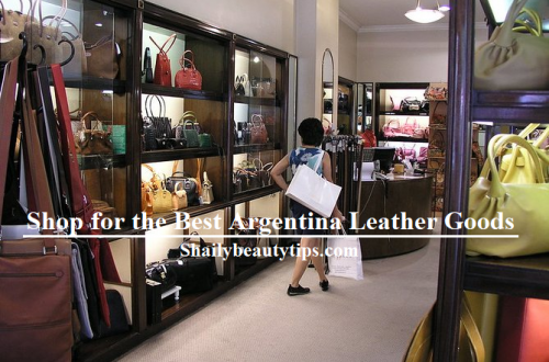 Shop for the Best Argentina Leather Goods