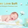 Pampers Premium Care Pants, Large size baby diapers (LG), Softest ever Pampers pants - Image 7