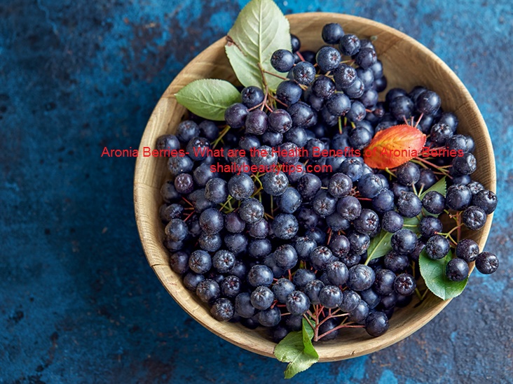 Aronia Berries- What are the Health Benefits of Aronia Berries