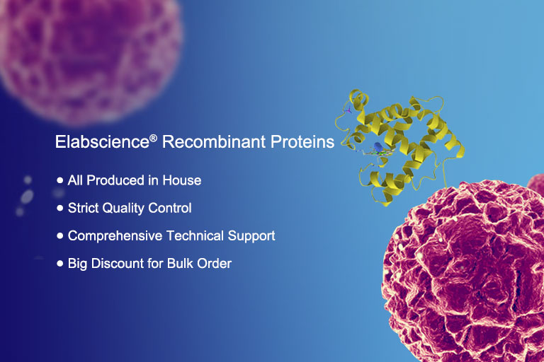 Protein Expression Protocols
