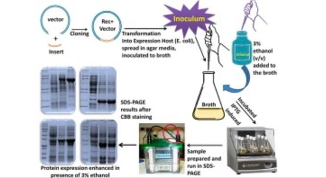 Protein Expression Protocols